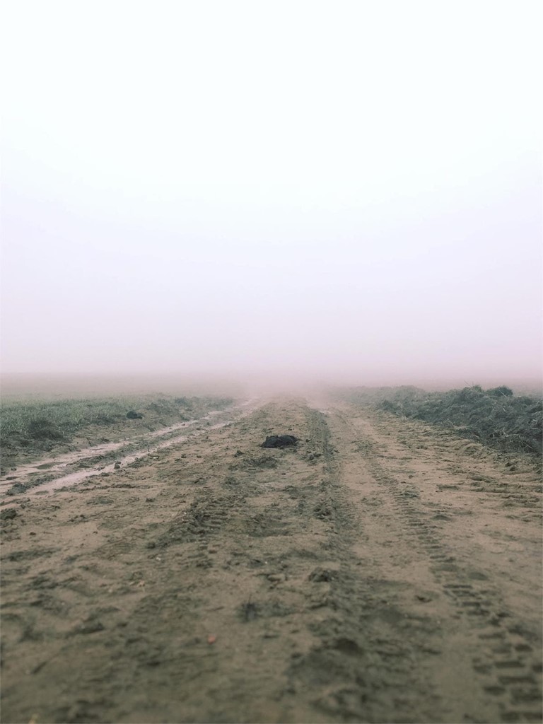 Importancia de nivelar el suelo antes de una construcción 